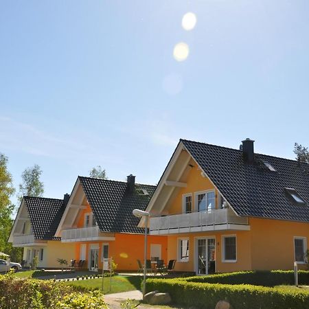 Ferienhaus Mueritzbrise / Eg-Appartement Marienfelde 외부 사진